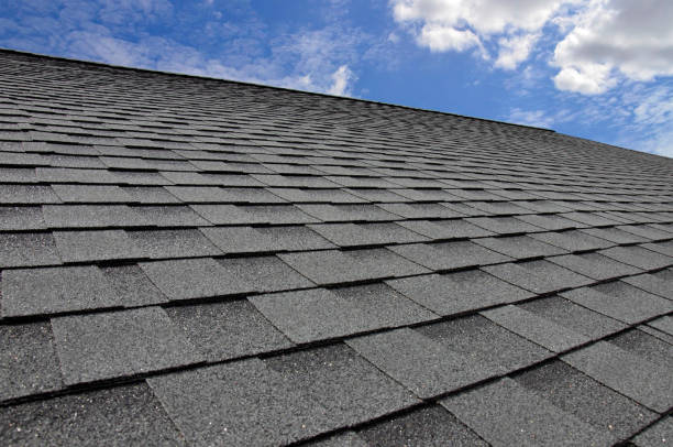 Best Roof Maintenance and Cleaning  in Bluffton, SC