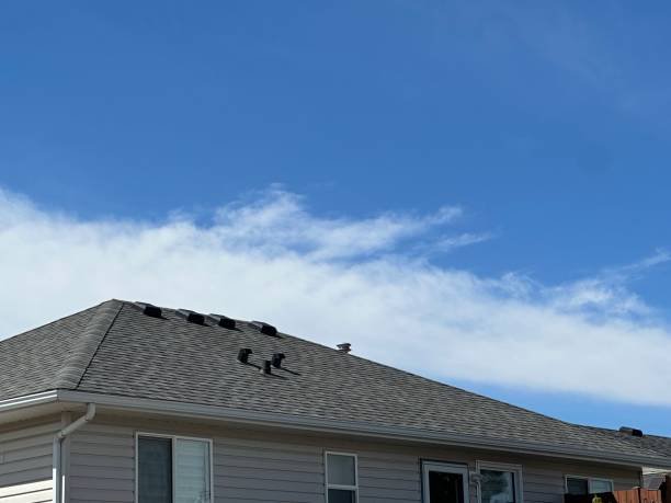 Best Rubber Roofing (EPDM, TPO)  in Bluffton, SC